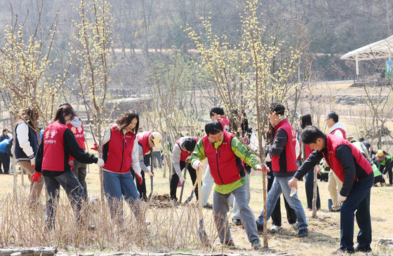 대전관광공사, 직원과 함께 나무심기