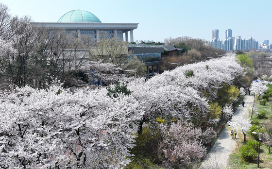 봄꽃축제 인파 대응…서울 지하철 6개역 150명 추가 투입