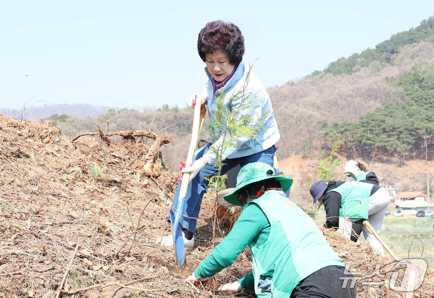 본문 이미지 - 오관영 동구의장이 나무를 심고 있다.(동구의회 제공. 재판매 및 DB금지)/뉴스1