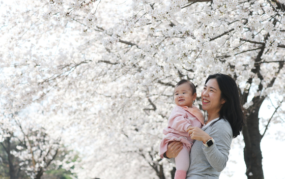 미소 짓게 만드는 벚꽃