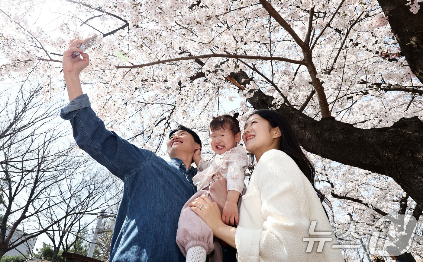 본문 이미지 - 지난 2일 서울 여의도 윤중로에서 한 가족이 벚꽃 아래에서 기념촬영을 하고 있다. 2026.4.2 ⓒ 뉴스1 최지환 기자