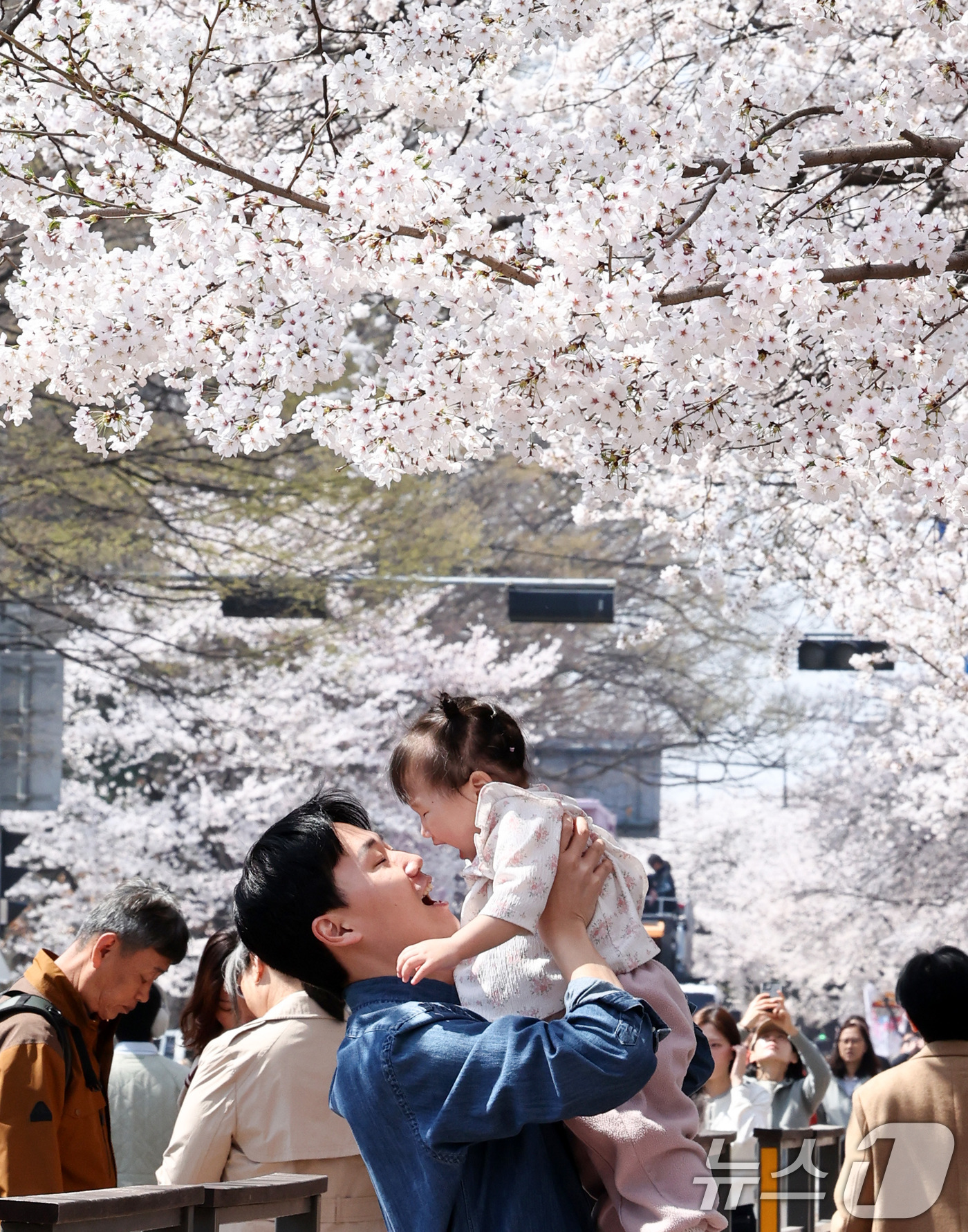 (서울=뉴스1) 최지환 기자 = '여의도 봄꽃축제'를 하루 앞둔 2일 서울 여의도 윤중로에서 한 시민이 아이와 함께 기념촬영을 하고 있다. 2026.4.2/뉴스1