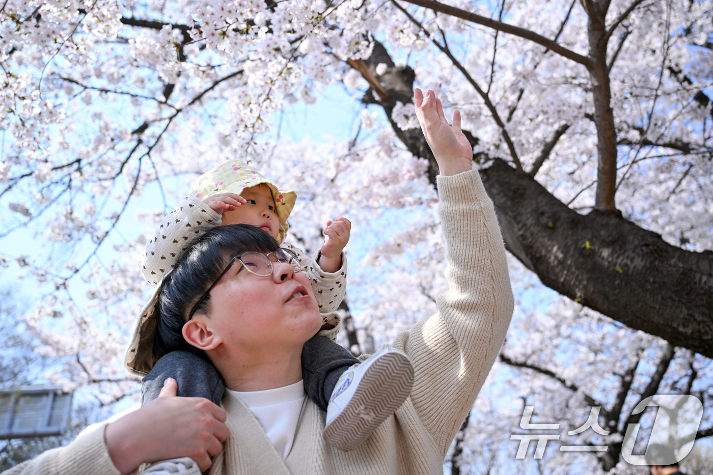 (서울=뉴스1) 최지환 기자 = '여의도 봄꽃축제'를 하루 앞둔 2일 서울 여의도 윤중로에서 한 시민이 아이와 함께 기념촬영을 하고 있다. 2026.4.2/뉴스1