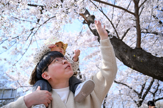 "주말 봄나들이 어디 갈까"…서울 자치구별 이색 코스[서울in]