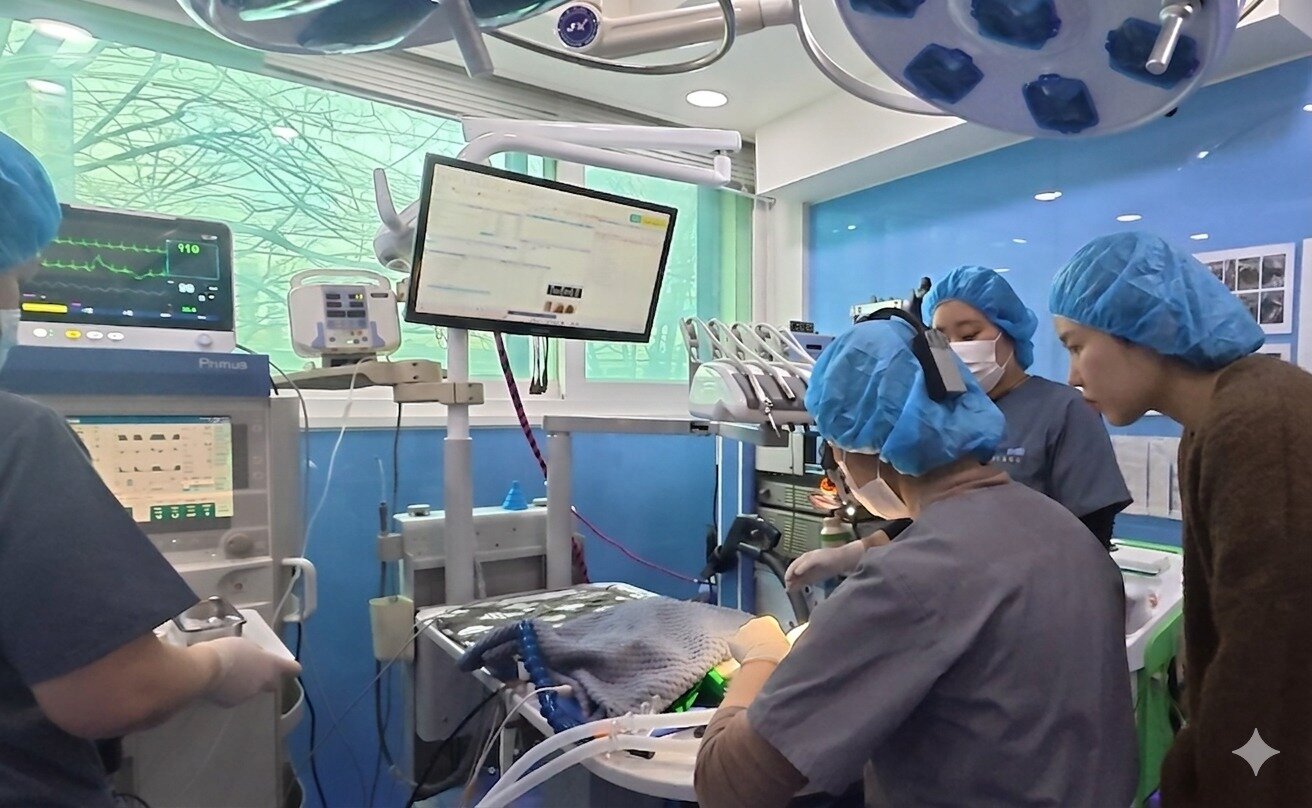 본문 이미지 - 라라동물의료원은 간단한 진료는 물론  치과 시술까지 보호자 참관이 가능하다(병원 제공). ⓒ 뉴스1