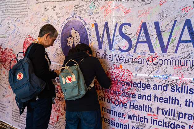 세계소동물수의사대회, 10월 폴란드 개최…얼리버드 등록 진행