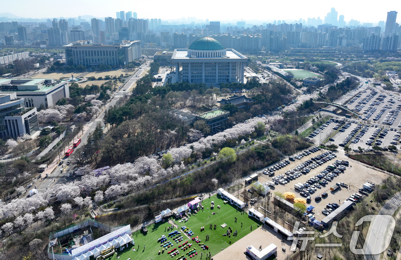 (서울=뉴스1) 최지환 기자 = '여의도 봄꽃축제'를 하루 앞둔 2일 서울 여의도 윤중로에 벚꽃이 만개해 있다. 2026.4.2/뉴스1