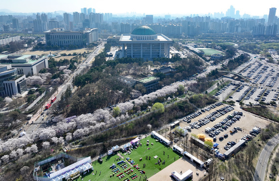 벚꽃 만개한 윤중로