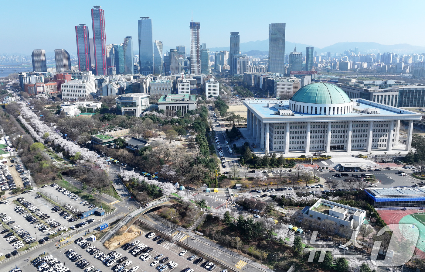 (서울=뉴스1) 최지환 기자 = '여의도 봄꽃축제'를 하루 앞둔 2일 서울 여의도 윤중로에 벚꽃이 만개해 있다. 2026.4.2/뉴스1