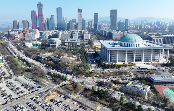 벚꽃 만개한 서울