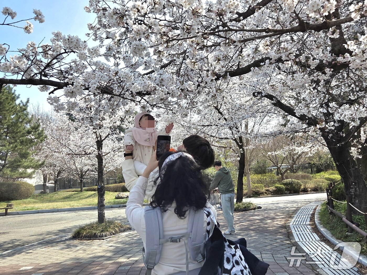 본문 이미지 - 2일 오후 2시께 어린 자녀와 함께 전주동물원을 찾은 부부가 벚꽃과 함께 아이의 사진을 찍고 있다.2026.4.2/뉴스1 문채연 기자