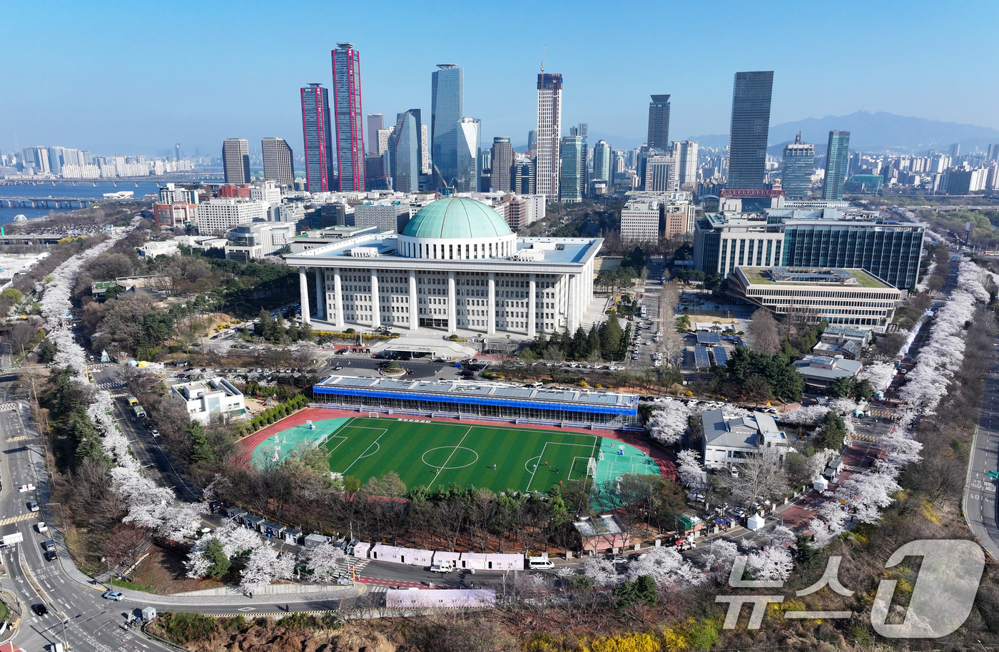 (서울=뉴스1) 최지환 기자 = '여의도 봄꽃축제'를 하루 앞둔 2일 서울 여의도 윤중로에 벚꽃이 만개해 있다. 2026.4.2/뉴스1