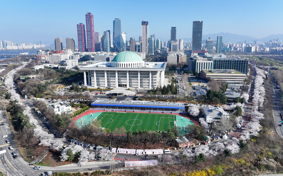 여의도 감싼 벚꽃물결