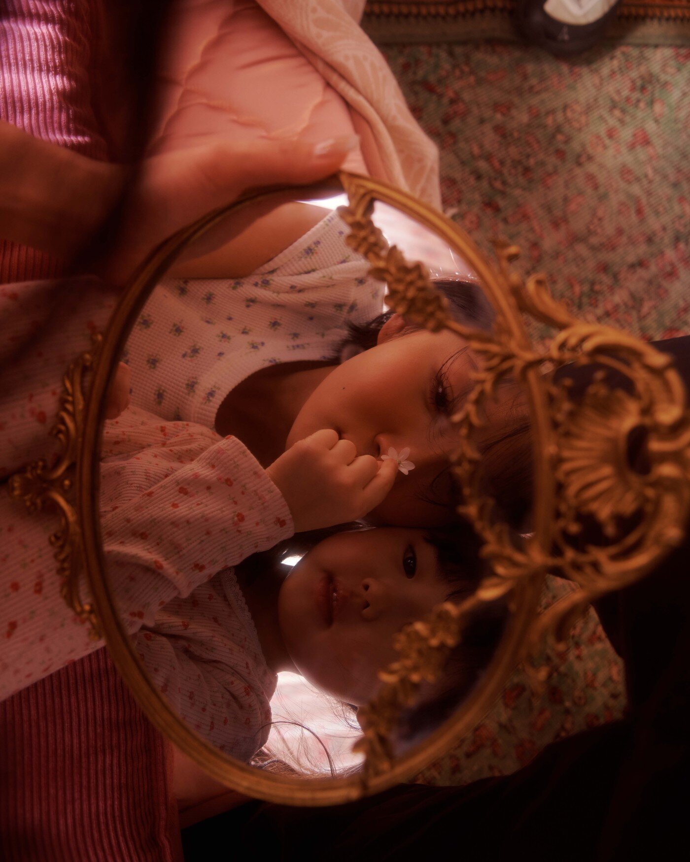 본문 이미지 - 화사(피네이션 제공)