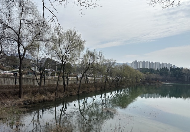 [오늘의 날씨] 충북·세종(3일, 금)…낮 최고 20~22도