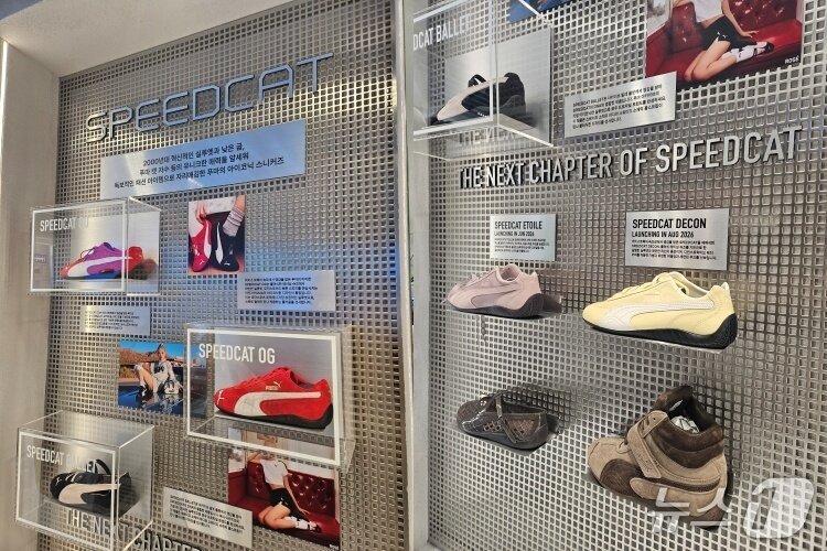 본문 이미지 - 푸마 스피드캣 라인 주요 제품. 올해 출시될 신제품들도 전시됐다. 2026.4.2 ⓒ 뉴스1 박혜연 기자