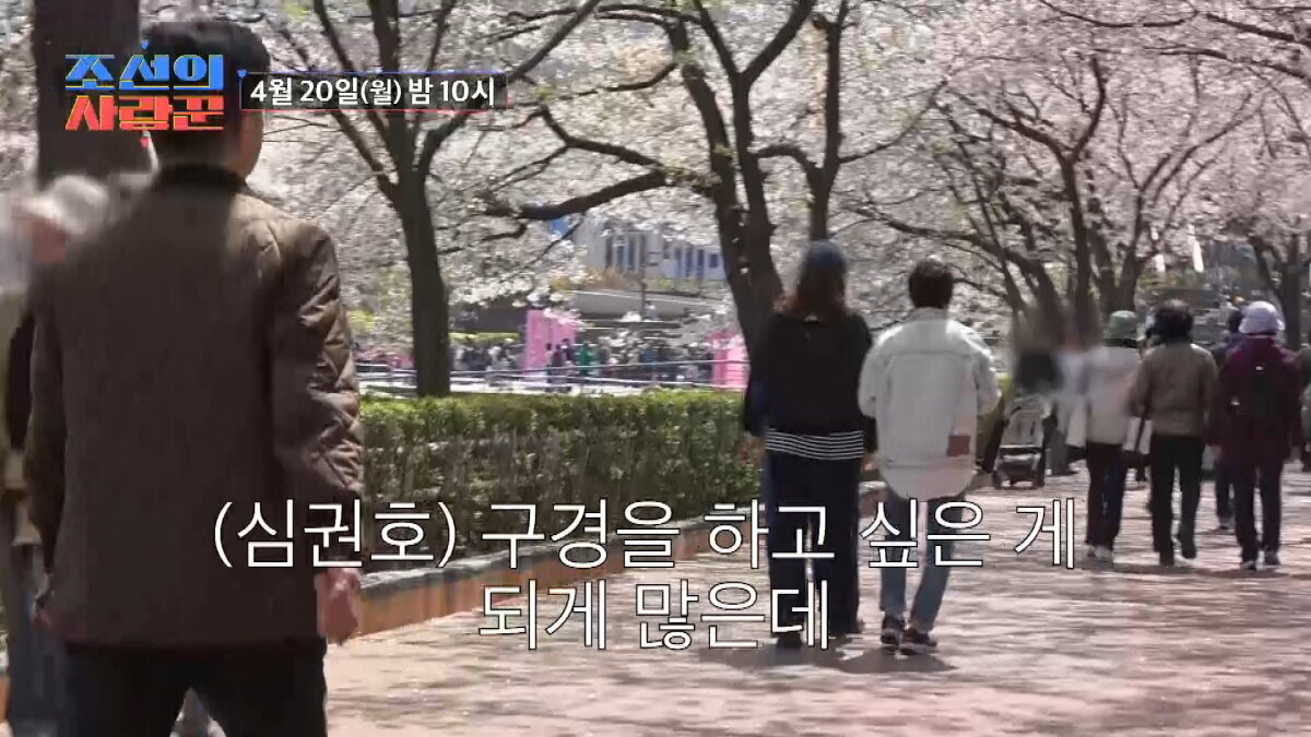 본문 이미지 - TV조선