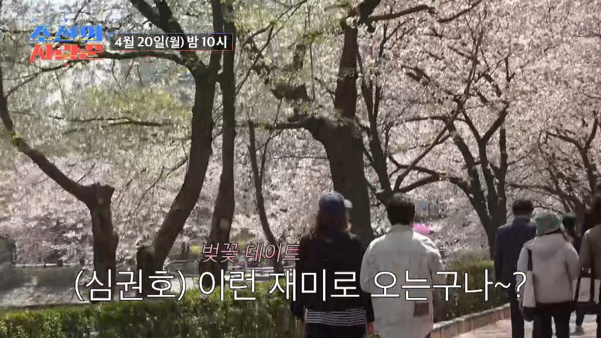 본문 이미지 - TV조선