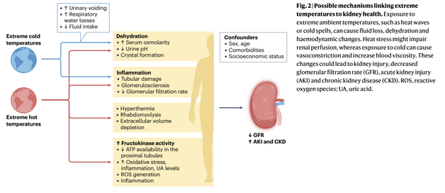 "기후위기, 신장도 위협"…부산대 국제연구 결과 발표