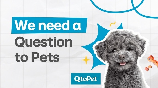 hy, 반려동물 토탈 케어 플랫폼 '큐토펫' 론칭