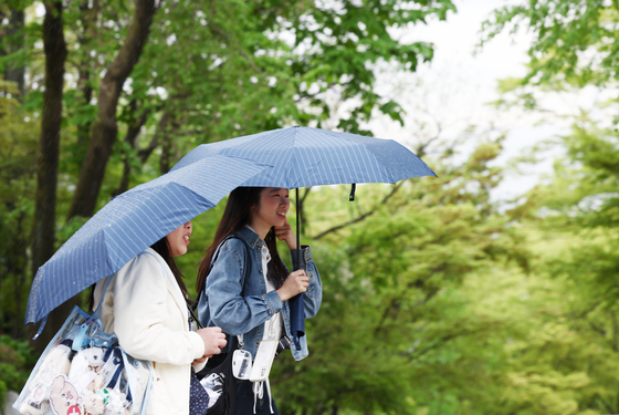 초여름 더위 식혀주는 비