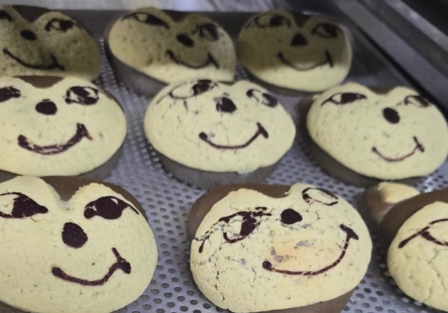 "늑구빵, 시크한 표정" "한화 '울브즈'로 바꿔라"…대전 '늑대 앓이' 들썩