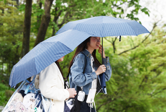 절기상 곡우에 내리는 촉촉한 비