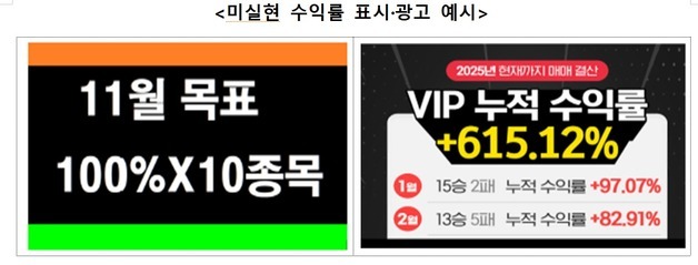 "VIP 수익률 615%" 부당 광고…유사투자자문 위법 35사 과태료 4.7억