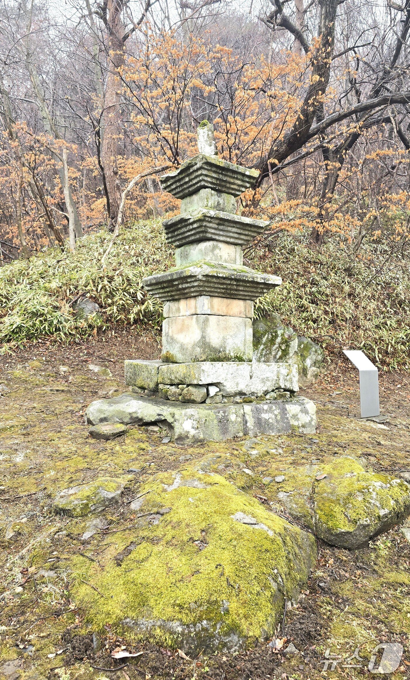 본문 이미지 - 소악 사지 북서쪽 자연 암반 평탄 지역에 위치한 석탑.(제천시 제공. 재판매 및 DB금지)   