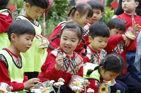 나비야 날아 올라라