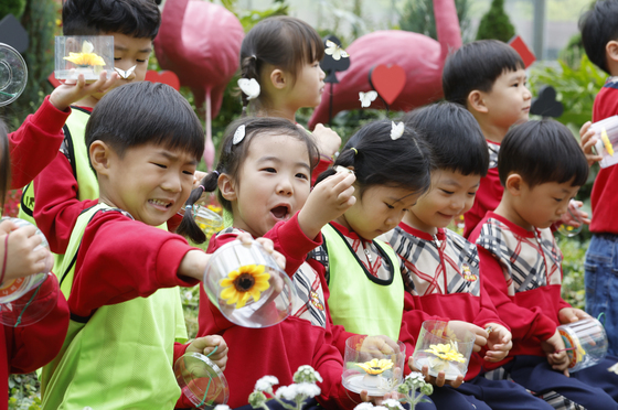 훨훨 날아오르는 나비