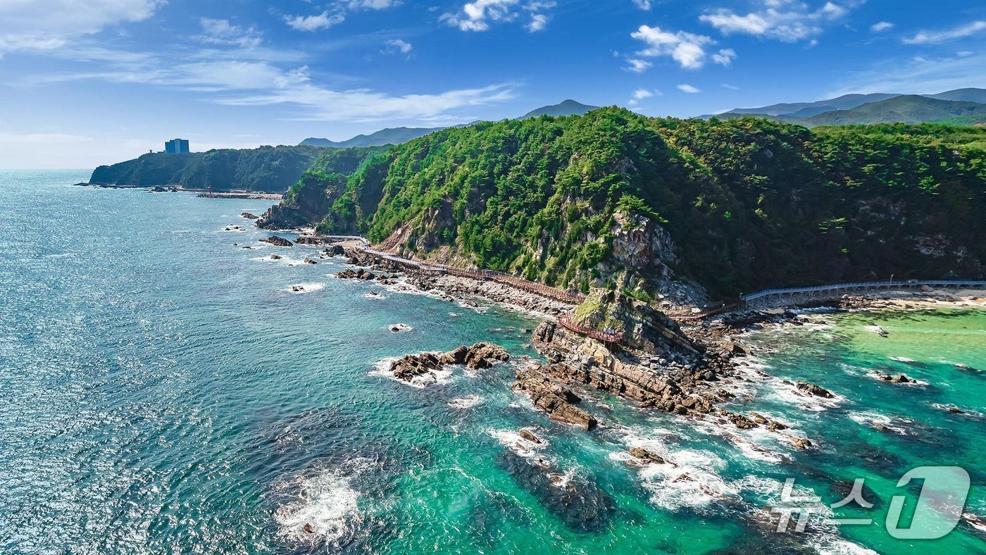 본문 이미지 - 강릉 바다부채길 전경.(강릉시 제공, 재판매 및 DB 금지) 2026.4.20/뉴스1