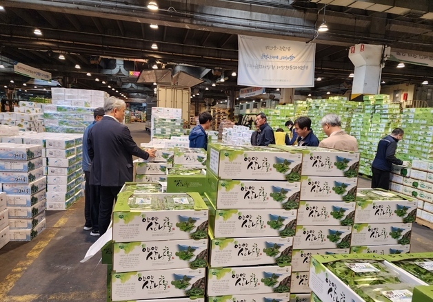 "3주 만에 2억 벌었다"…양양 산나물, 가락시장서 '대박'