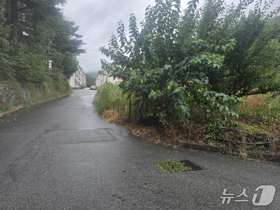 본문 이미지 - 도계4리 보행로 개설 전.(삼척시 제공, 재판매 및 DB 금지) 2026.4.20/뉴스1