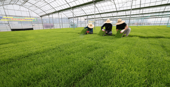 곡우, 본격적인 영농철 시작
