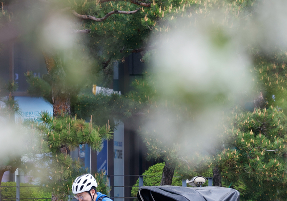 '인력거에서 봄 구경'