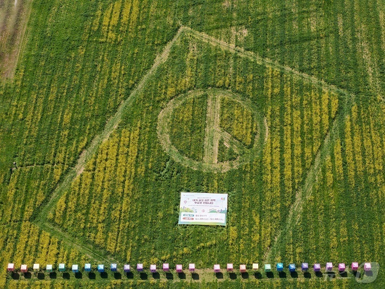 (창원=뉴스1) 강정태 기자 = 20일 경남도선거관리위원회가 6월3일 실시하는 제9회 전국동시지방선거를 앞두고 경남 창녕군 남지읍에 조성한 전국 최대인 1만1600㎡ 규모의 대형 …