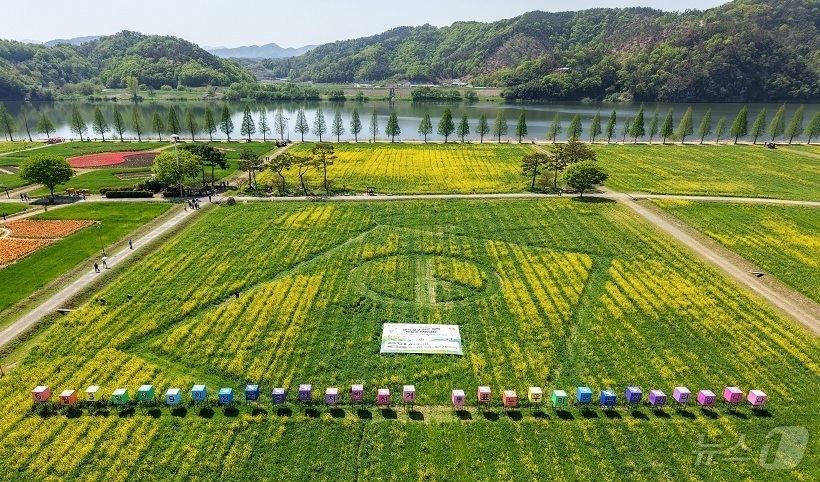 (창원=뉴스1) 강정태 기자 = 20일 경남도선거관리위원회가 6월3일 실시하는 제9회 전국동시지방선거를 앞두고 경남 창녕군 남지읍에 조성한 전국 최대인 1만1600㎡ 규모의 대형 …