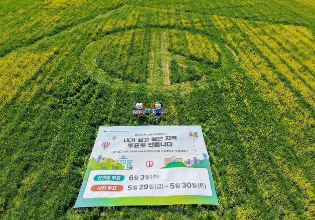 전국 최대 기표모양 유채꽃밭 '투표하세요'