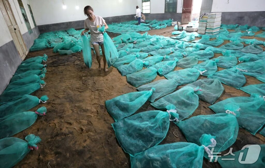 본문 이미지 - (SCMP 갈무리)