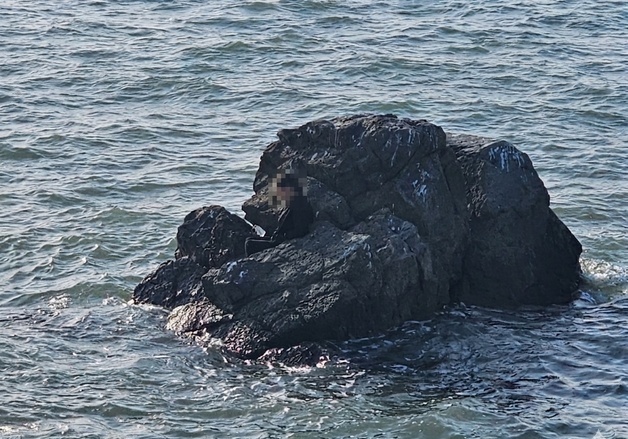 "잠든 사이 밀물"…대부도 갯바위서 고립된 60대 여성 구조