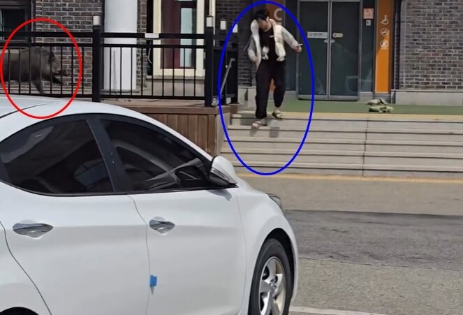 본문 이미지 - 온라인 커뮤니티