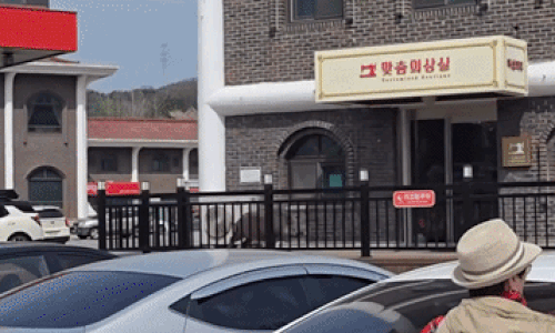 나들이객 돌진한 멧돼지, 여자 화장실 '습격'…가평휴게소 아수라장[영상]