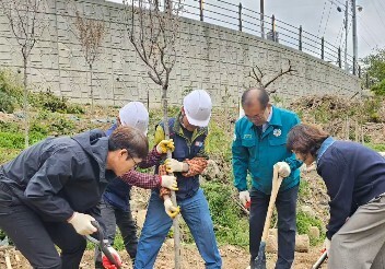 부산 사상구, 불법시설물 정비·조림사업 추진…산림 환경 개선