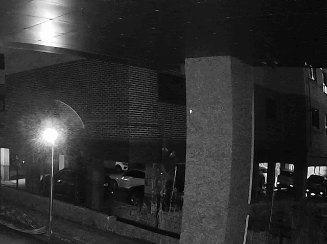 CCTV 없는 산길로 5억 턴 '수도권 날다람쥐'…3년여 만에 덜미(종합)