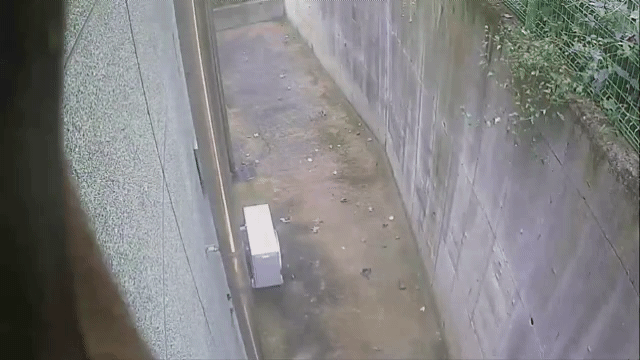 본문 이미지 - A 씨가 절도 행각을 벌이기 전 CCTV를 가리는 모습. (용인동부경찰서 제공. 재판매 및 DB 금지) 2026.4.20/뉴스1