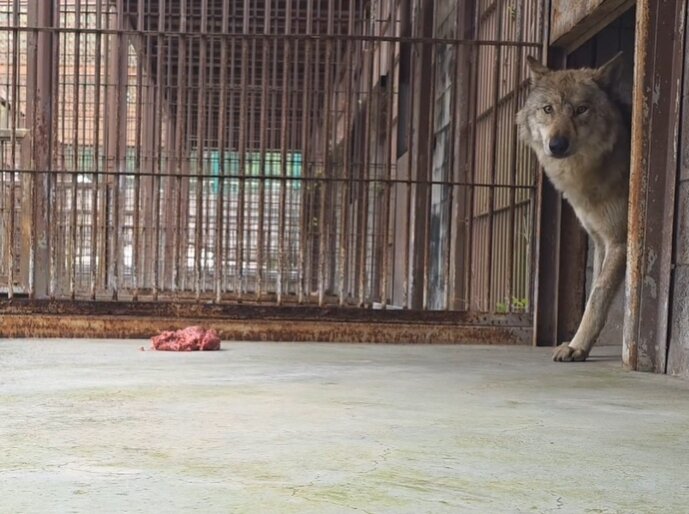 본문 이미지 - 대전 오월드 공식 SNS