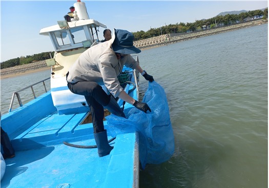 부산시, 낙동강 하구에 '톱날꽃게' 2만마리 방류…수산자원 회복