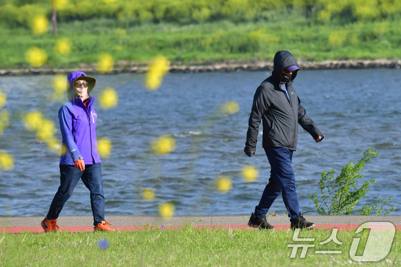 (포항=뉴스1) 최창호 기자 = 21일 경북 포항시 남구 연일읍 형산강에 강변로에서 시민이 모자와 마스크를 한 시민이 걸어가고 있다.이날 포항시의 아침 최저기온은 6~8도를 기록했 …