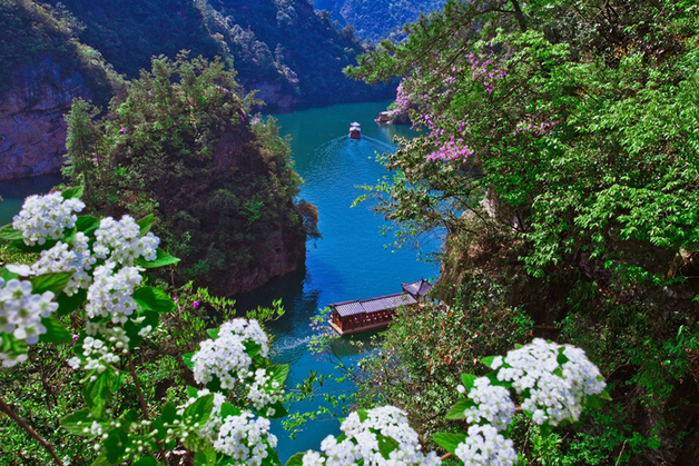 "유류할증료 인상분 돌려 준다"…모두투어, '유류 보상제' 가동
